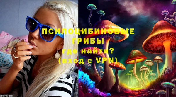 не бодяженный Алексин