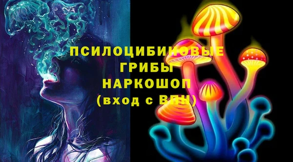 не бодяженный Алексин