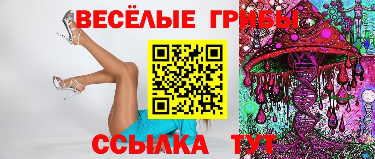 Псилоцибиновые грибы прущие грибы Дзержинский