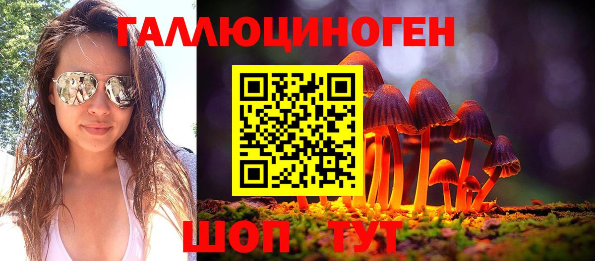 Псилоцибиновые грибы мицелий Дзержинский