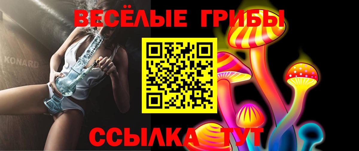 Псилоцибиновые грибы GOLDEN TEACHER  Вход с VPN  магазин продажи   Дзержинский 