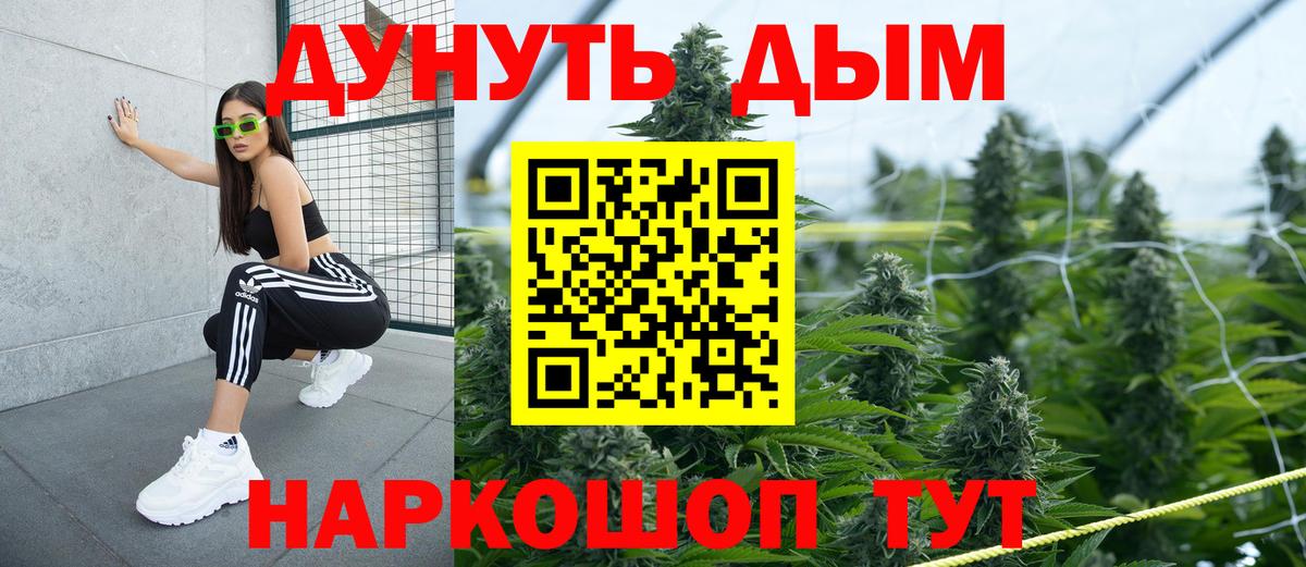 Конопля OG Kush Дзержинский